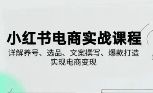 小红书从0-1实操课(2023-2025)，详解养号、选品、文案撰写、爆款打造实现电商变现-AIPOD