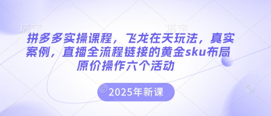 拼多多实操课程，飞龙在天玩法，真实案例，直播全流程链接的黄金sku布局原价操作六个活动-AIPOD