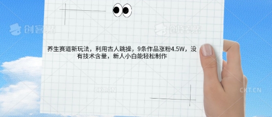 AI养生赛道新玩法，10条作品涨粉5.2W，操作简单，新人小白能轻松制作-AIPOD