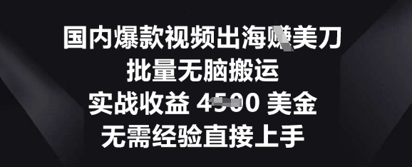 国内爆款视频出海挣美刀，批量无脑搬运，实战收益4.5k，无需经验直接上手-AIPOD