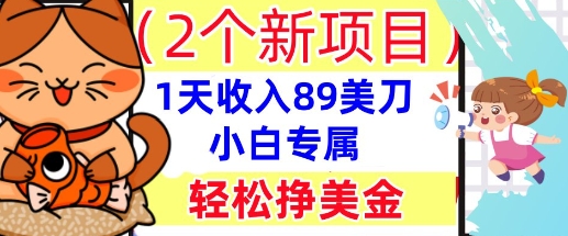 2个新项目，轻松挣美金， 1天收入89美刀，小白专属，干货分享-AIPOD