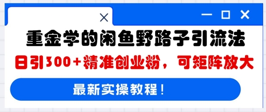 重金学的闲鱼野路子引流法，日引300+精准创业粉，可矩阵放大-AIPOD