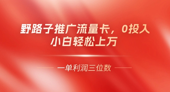 0门槛推广流量卡，一单收益上百，0投入，小白月入过W-AIPOD