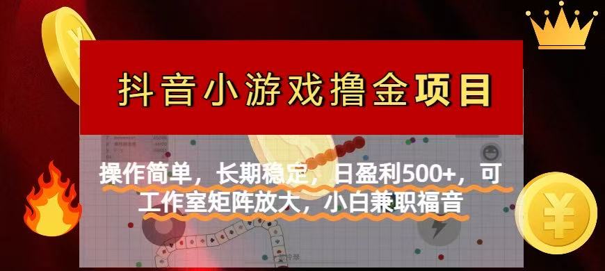 （14290期）【抖音小游戏发行人计划项目】操作简单，长期稳定，日盈利500+，可工作…-AIPOD
