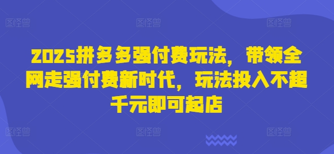 2025拼多多强付费玩法，带领全网走强付费新时代，玩法投入不超千元即可起店-AIPOD