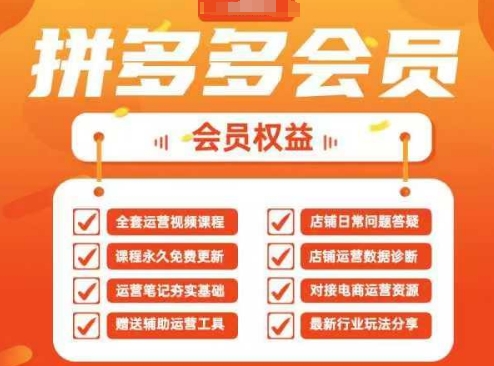 2025拼多多运营实战课，40节全流程教学，覆盖拼多多运营全链路-AIPOD