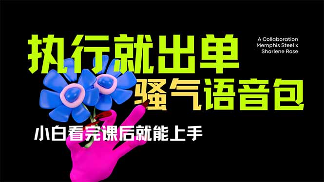 （14170期）爆火全网的开车导航骚气语音包,只要执行就出单，小白看完课程就能实操…-AIPOD