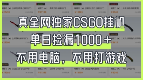 真全网独家CSGO挂G，单日捡漏1k+【揭秘】-AIPOD