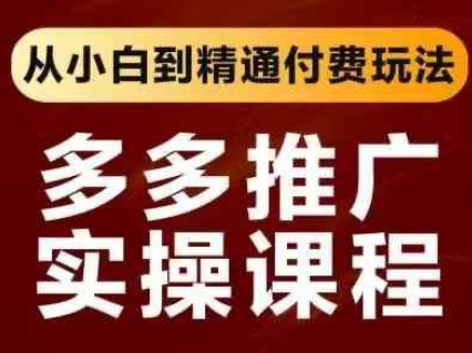 拼多多推广实操课程，从小白到精通付费玩法-AIPOD