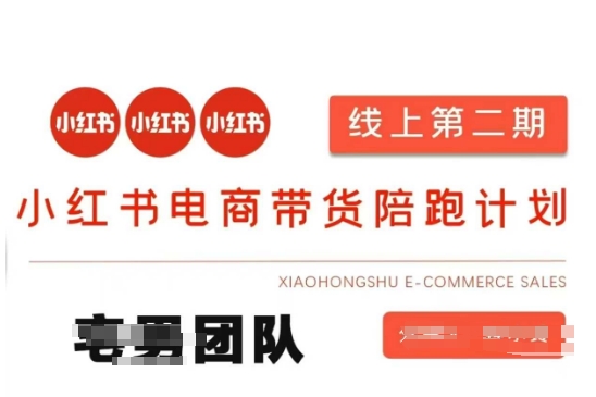 小红书电商带货课2期，月利润20个的小红书电商的有货源，无货源，虚拟产品，付费投流等整套玩法-AIPOD